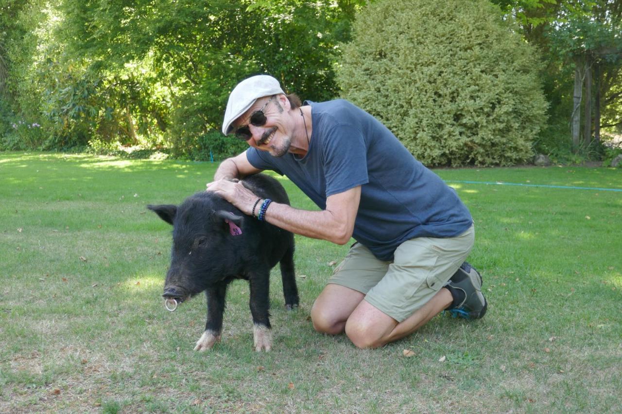 Karetu Downs Farm Stay Hawarden Dış mekan fotoğraf