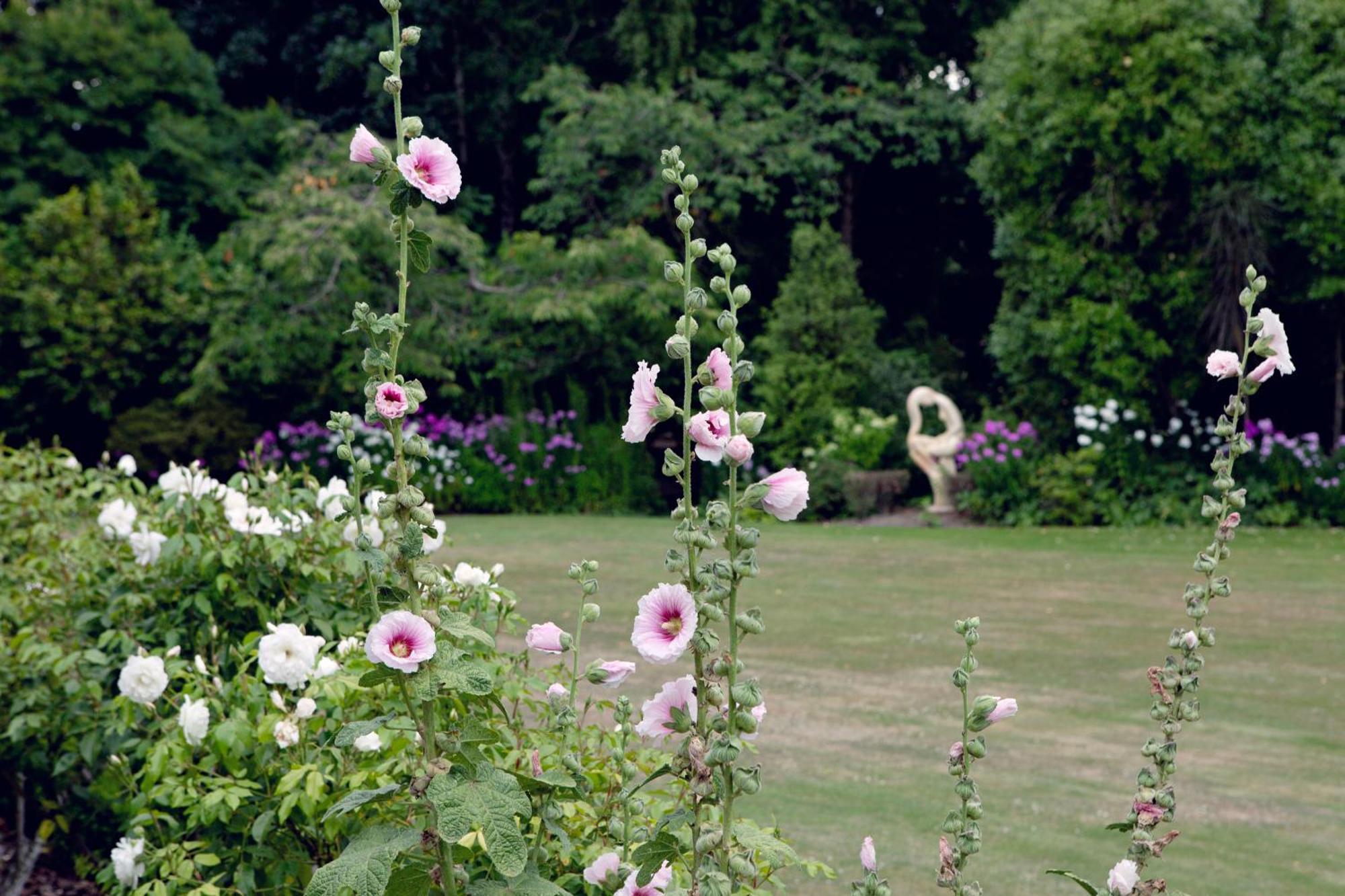 Karetu Downs Farm Stay Hawarden Dış mekan fotoğraf