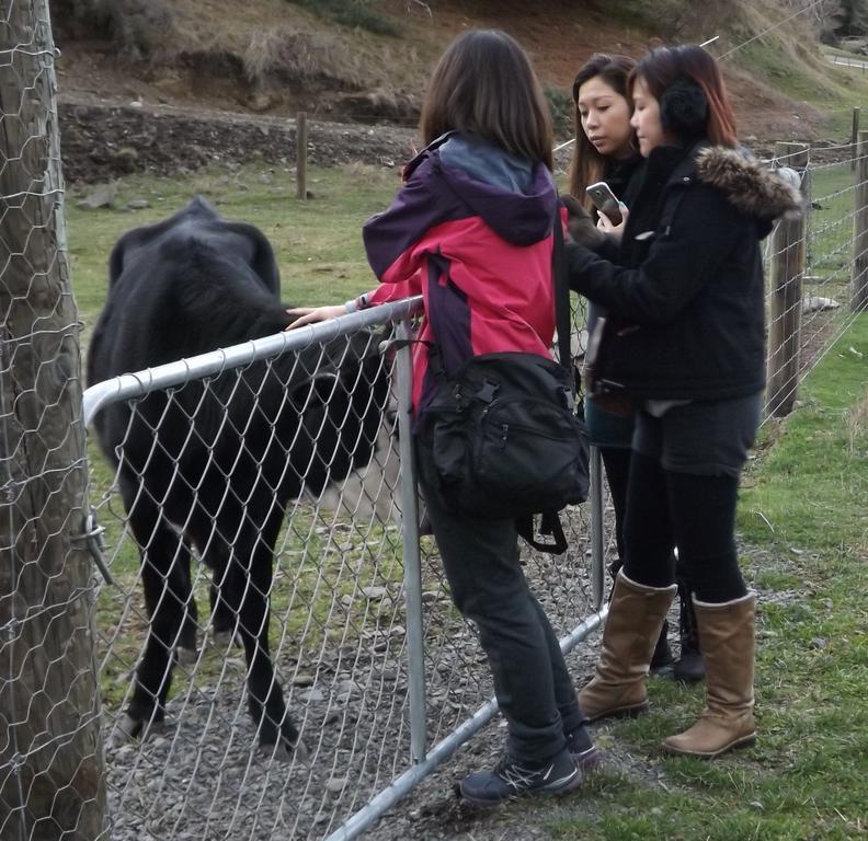 Karetu Downs Farm Stay Hawarden Dış mekan fotoğraf