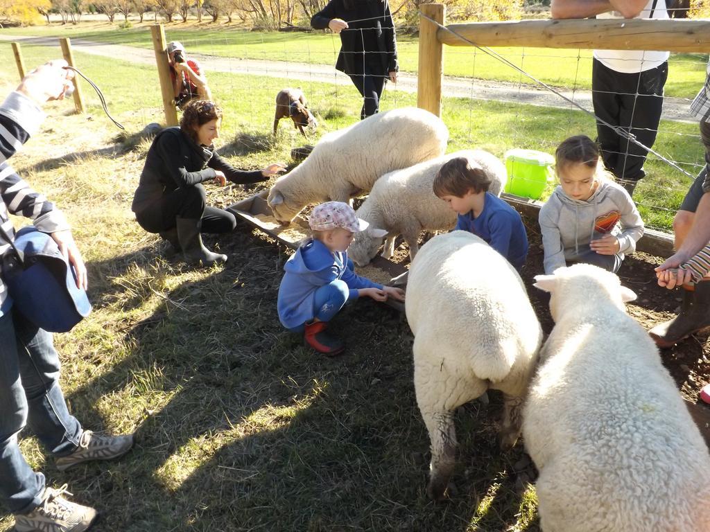 Karetu Downs Farm Stay Hawarden Dış mekan fotoğraf