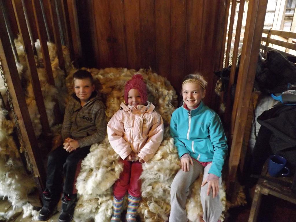 Karetu Downs Farm Stay Hawarden Dış mekan fotoğraf