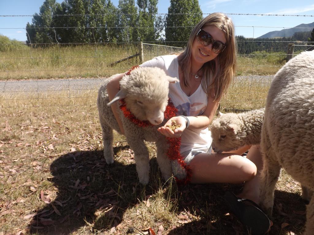 Karetu Downs Farm Stay Hawarden Dış mekan fotoğraf