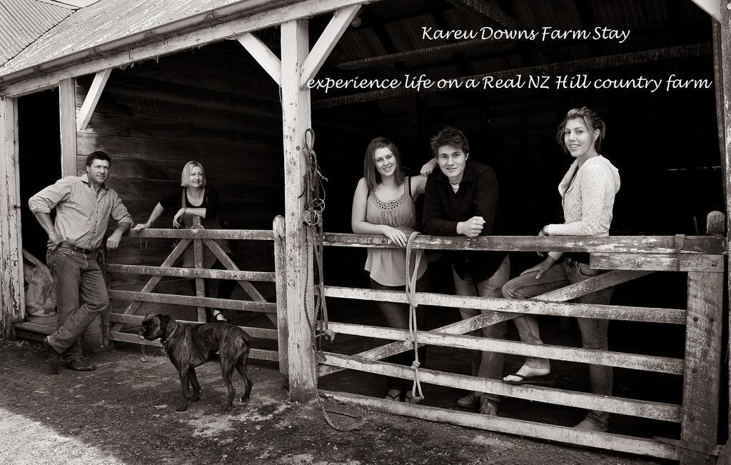 Karetu Downs Farm Stay Hawarden Dış mekan fotoğraf