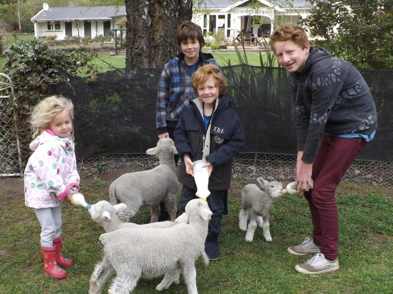 Karetu Downs Farm Stay Hawarden Dış mekan fotoğraf