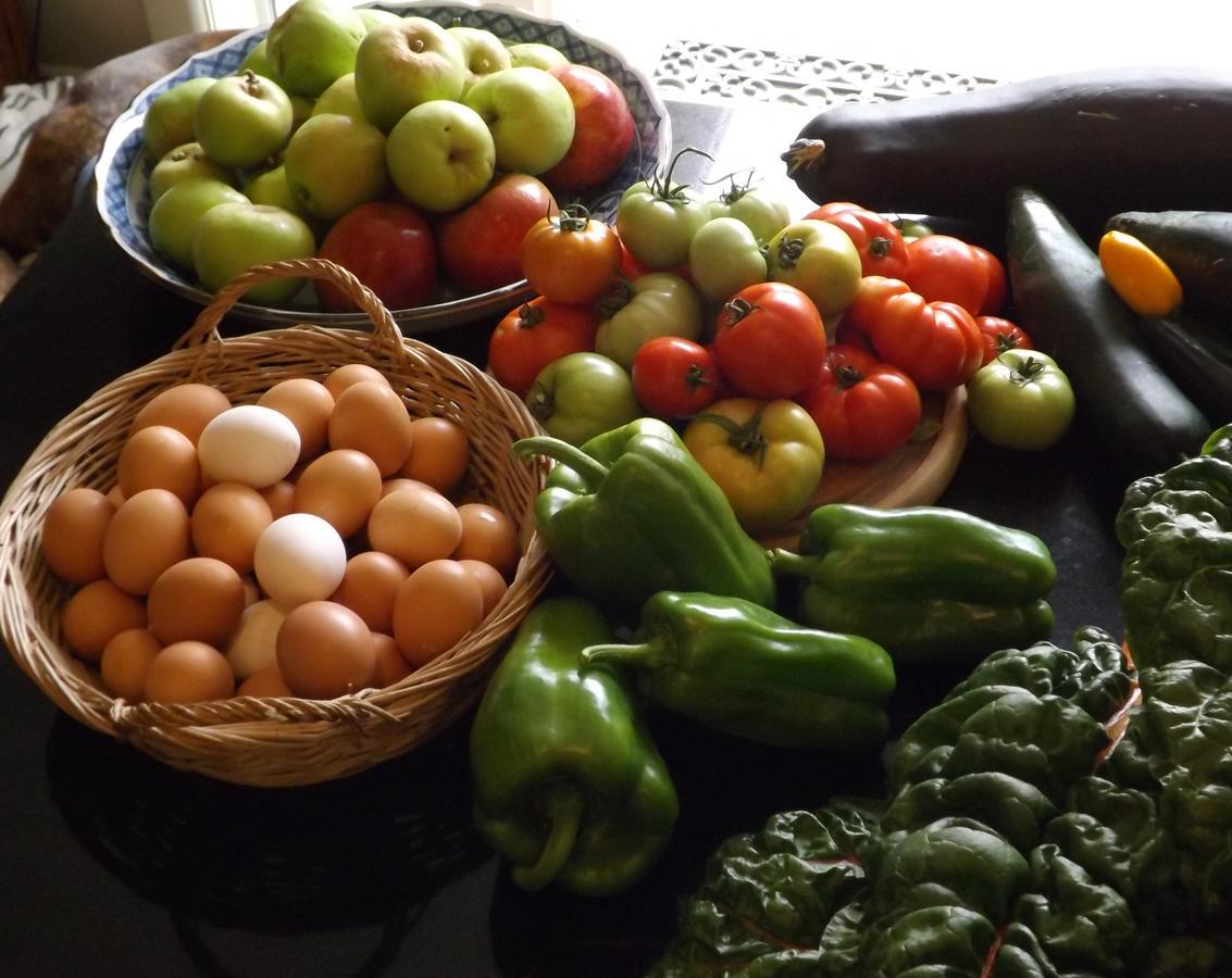 Karetu Downs Farm Stay Hawarden Dış mekan fotoğraf